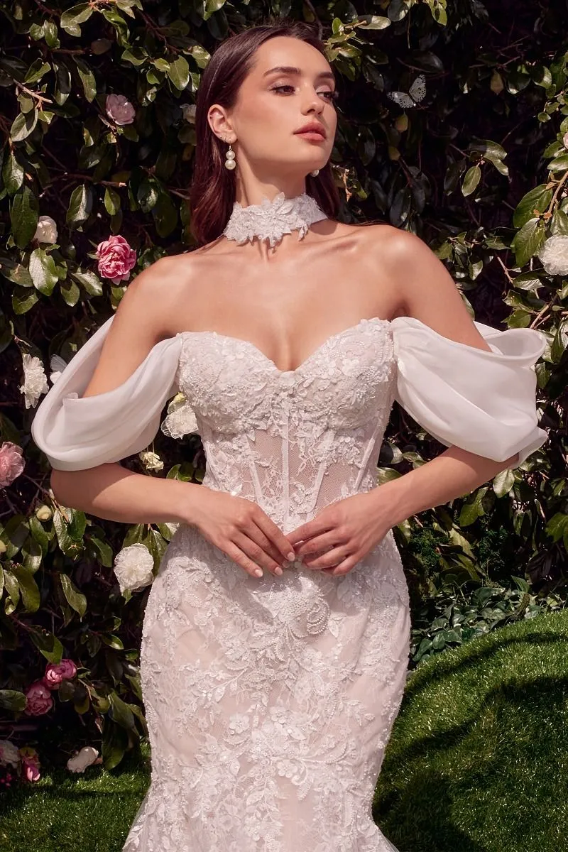 DETACHABLE WINGS MERMAID WEDDING GOWN CDWL031
