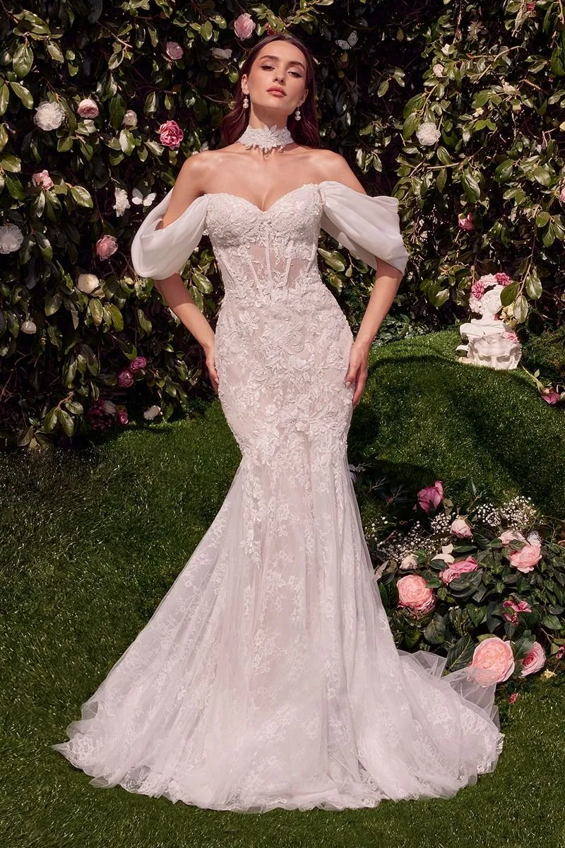DETACHABLE WINGS MERMAID WEDDING GOWN CDWL031
